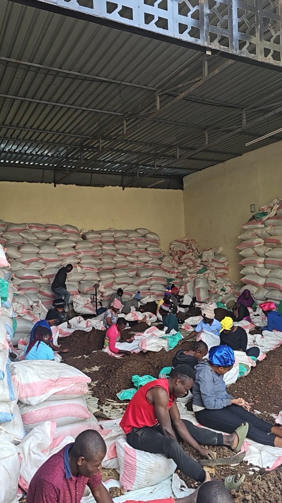 Vumilia operations 4